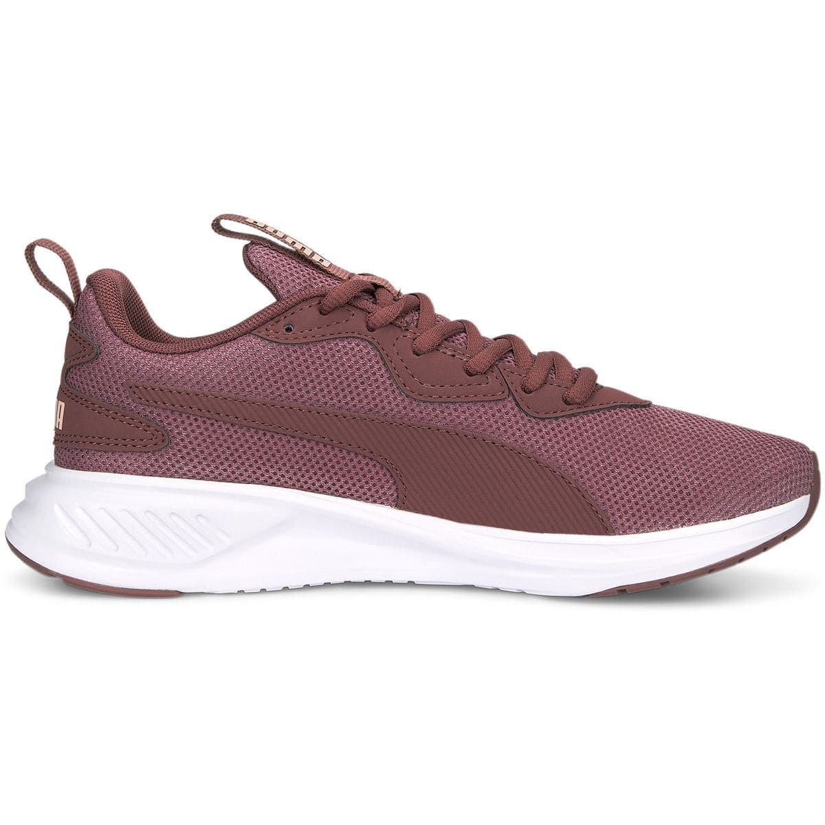 puma incinerate