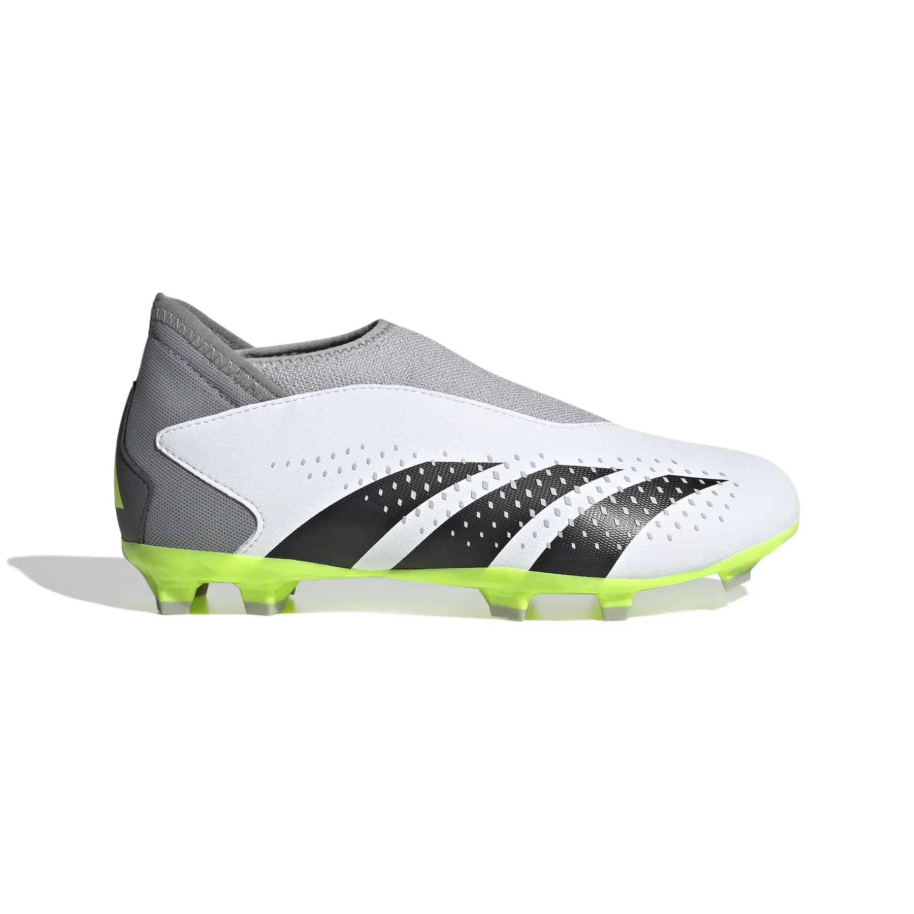 adidas Predator laceless