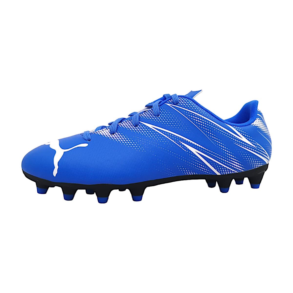 puma 009